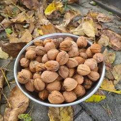 Vlašské ořechy jádra, loupaná