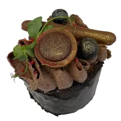 Roláda ČOKOLÁDA, 4ks